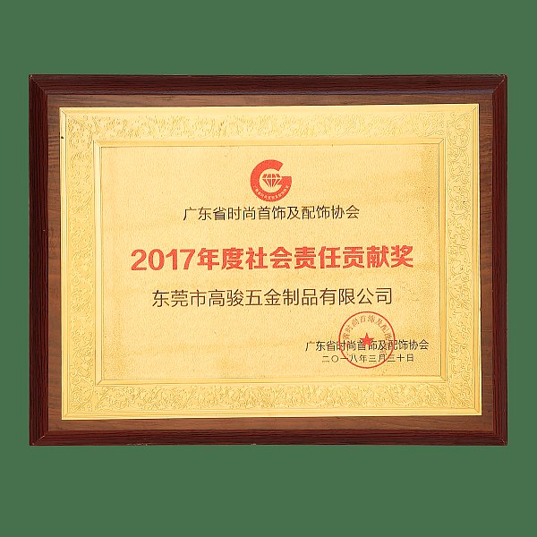 2017年度社会责任贡献奖