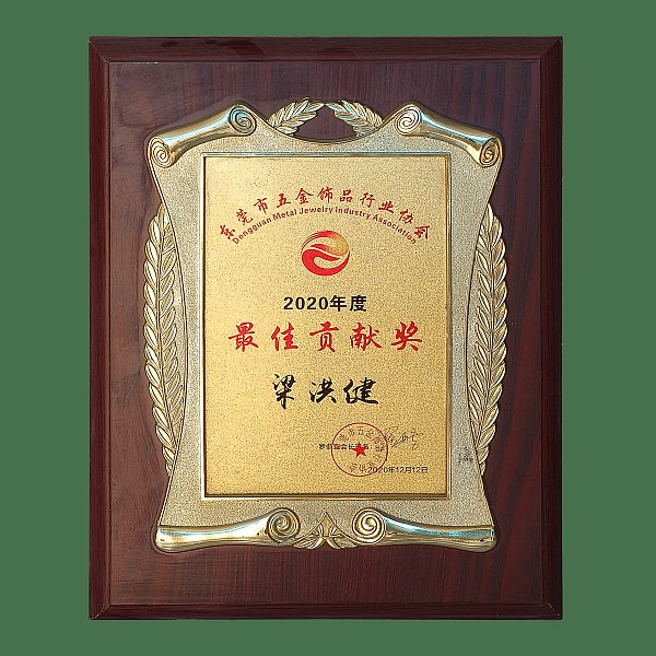 2020年度最佳贡献奖