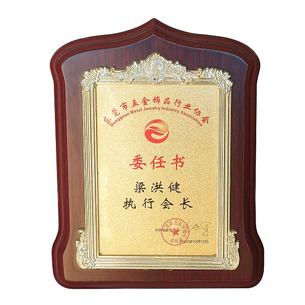 2020五金饰品行业协会执行会长委任书