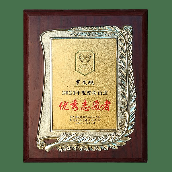 2021年度松岗街道优秀志愿者