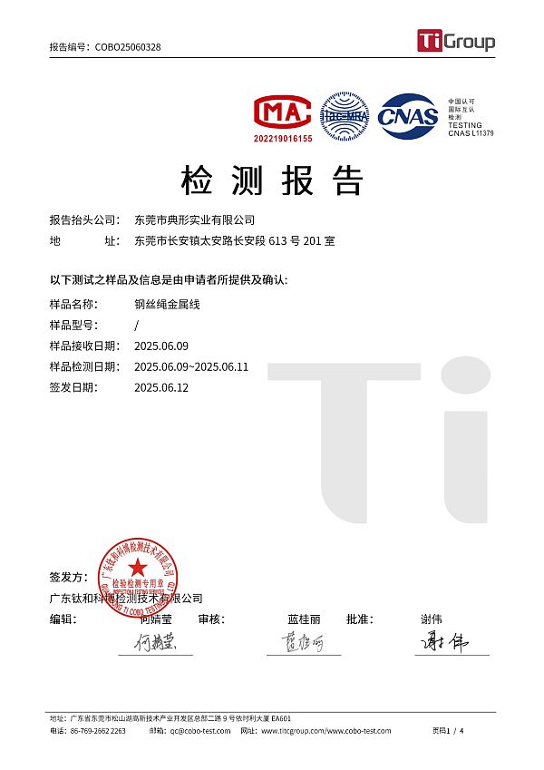 COBO25060328 GB 28480 五种有害元素 -中文报告(1)-1