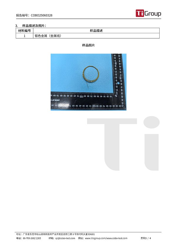 COBO25060328 GB 28480 五种有害元素 -中文报告(1)-3