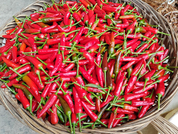 Zhang Luka: Why is chili pepper so popular on the world's dining tables