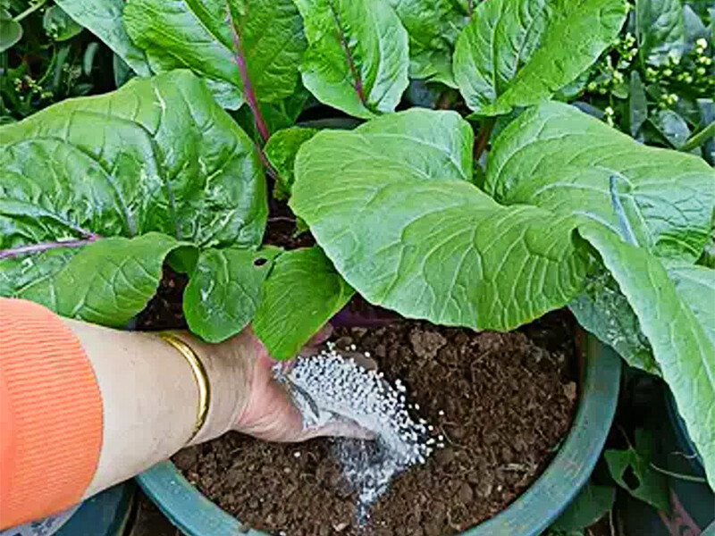 What are the fertilizer properties of compound fertilizers? How do these properties affect crop growth?