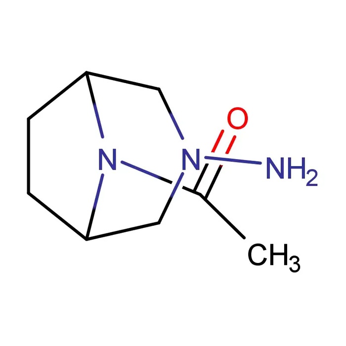 Sodium carboxyl methylstarch