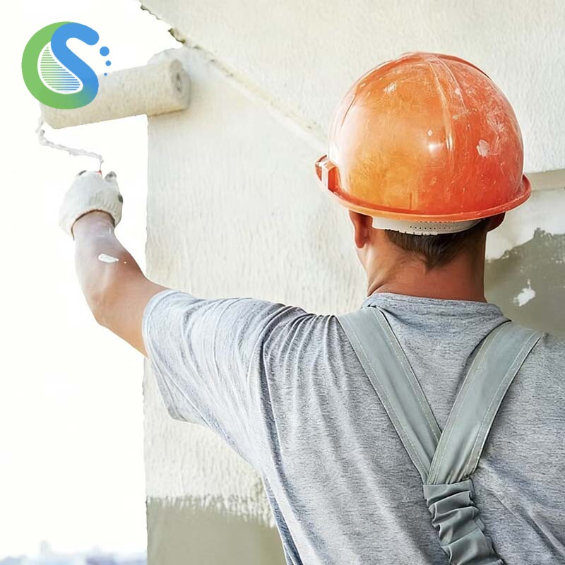 Exterior Wall Paint