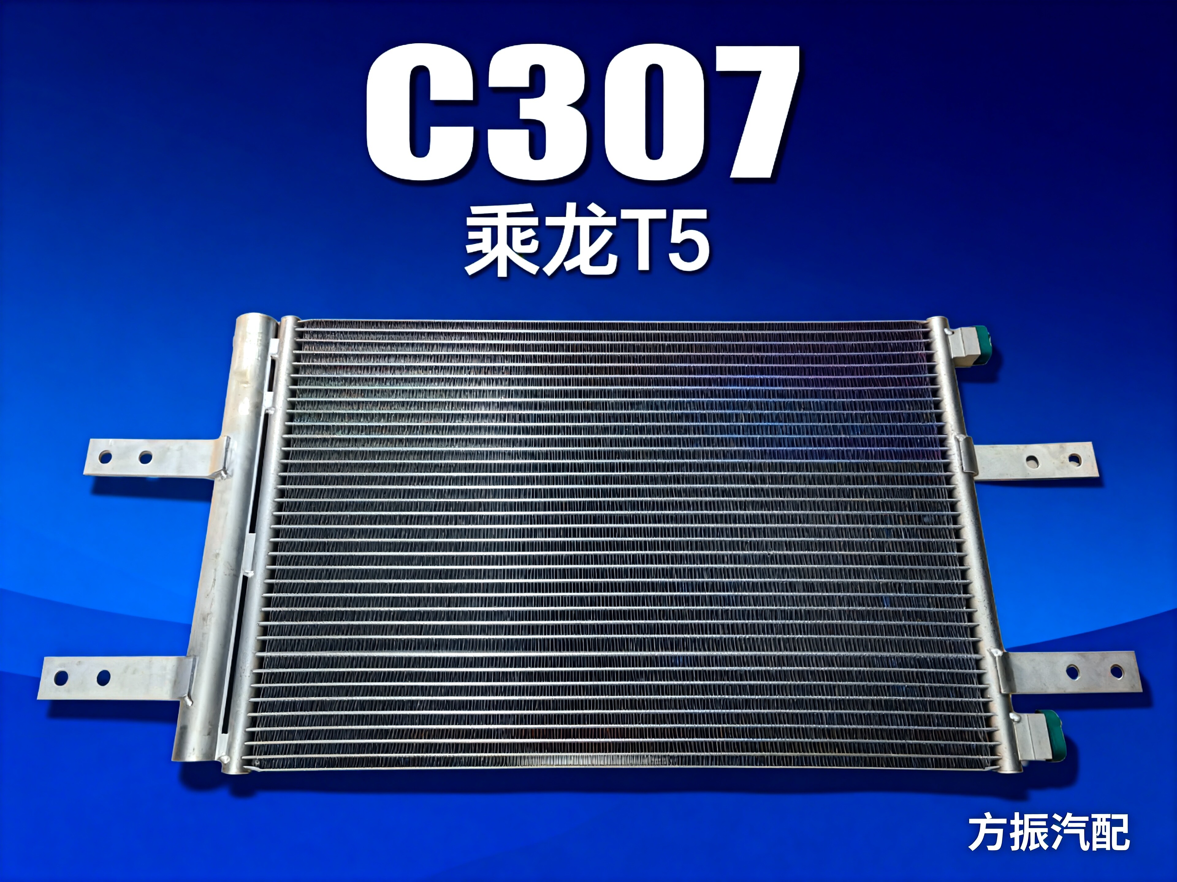 乘龙T5 C307