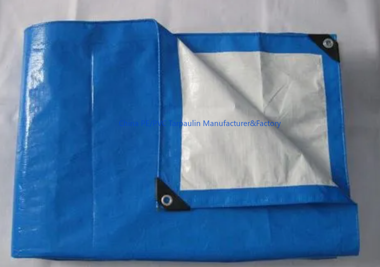 Blue and White PE Tarp Sheet