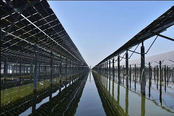 51c75837cdb5ccbdf6e869bdc77171de