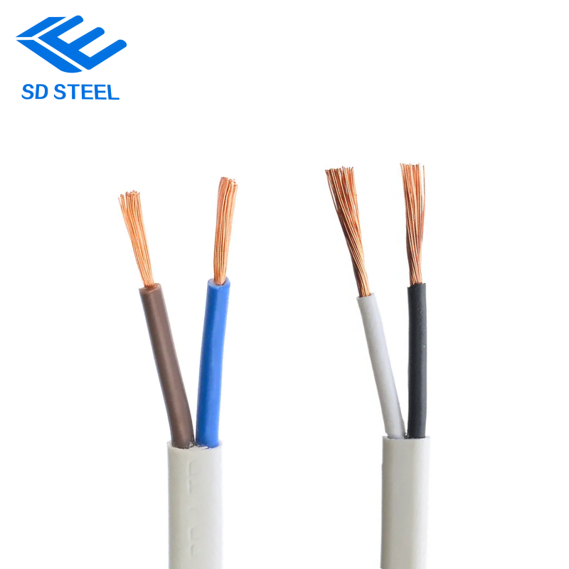 كبل طاقة متنقل مسطح ثنائي النواة من النوع W 2 كيلو فولت