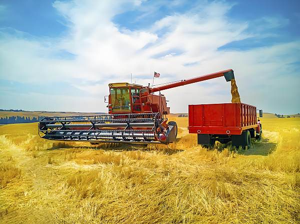 Agriculture Bearings are key supporting components of agricultural machinery, widely used in the rotating parts of equipment such as tractors, harvesters, and seeders. They bear loads, reduce friction, and withstand complex working conditions such as field dust, vibration, and temperature differences, ensuring precise transmission and stable operation of the machinery.