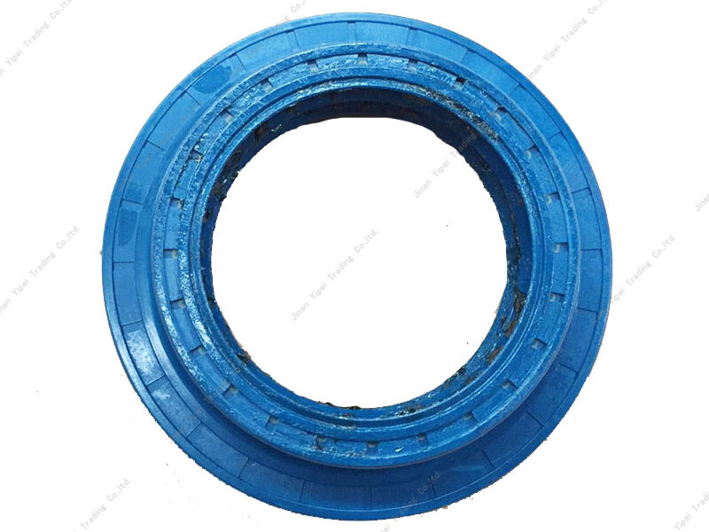 Hub oil seal