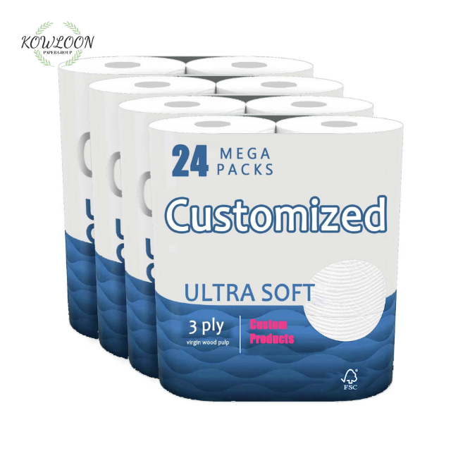 Toilet Paper And Toilet Paper Rolls