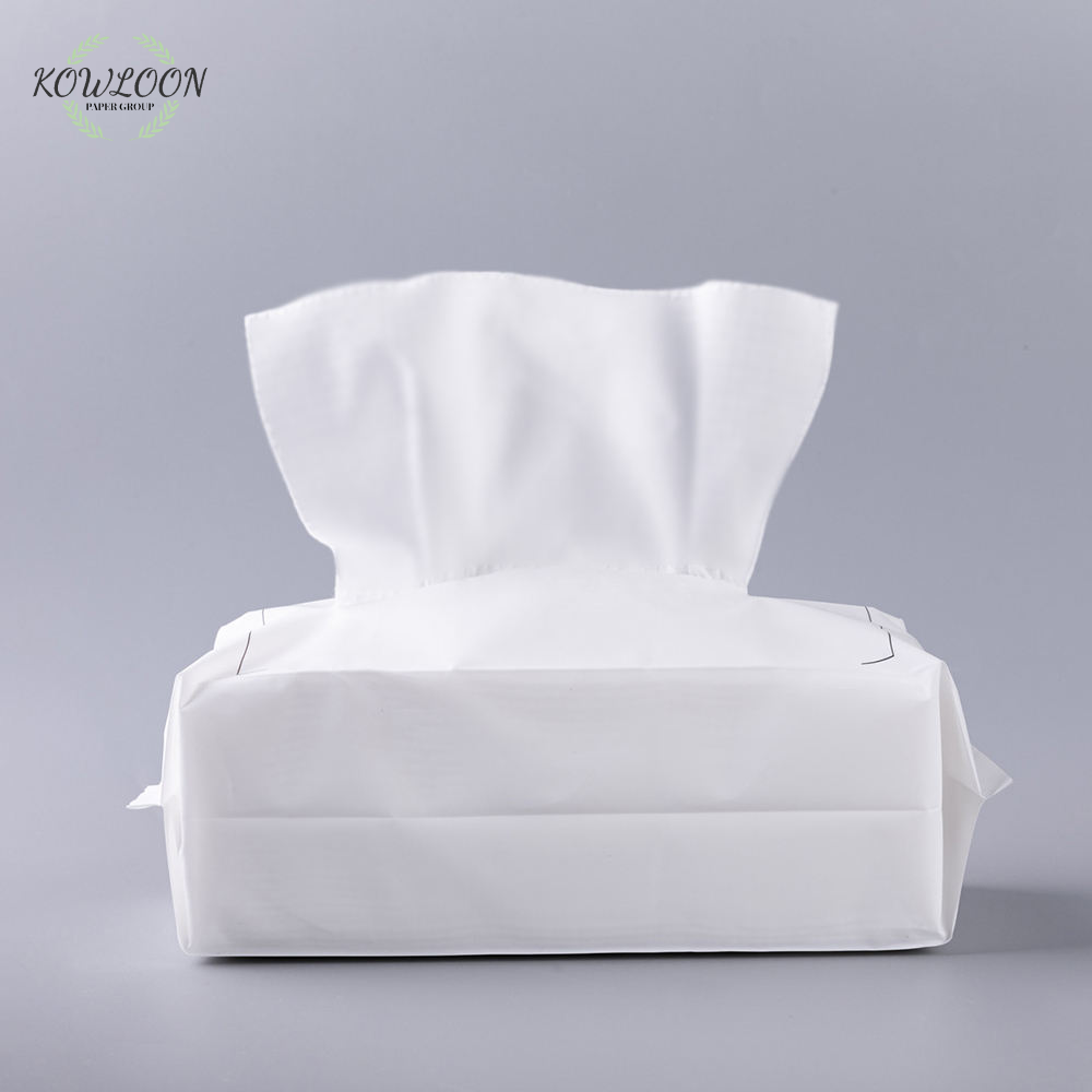 Disposable Toilet Paper  In Stock