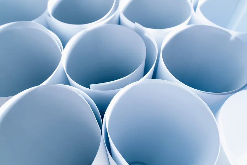Are Recycled Paper Towels Really Better for the Environment?