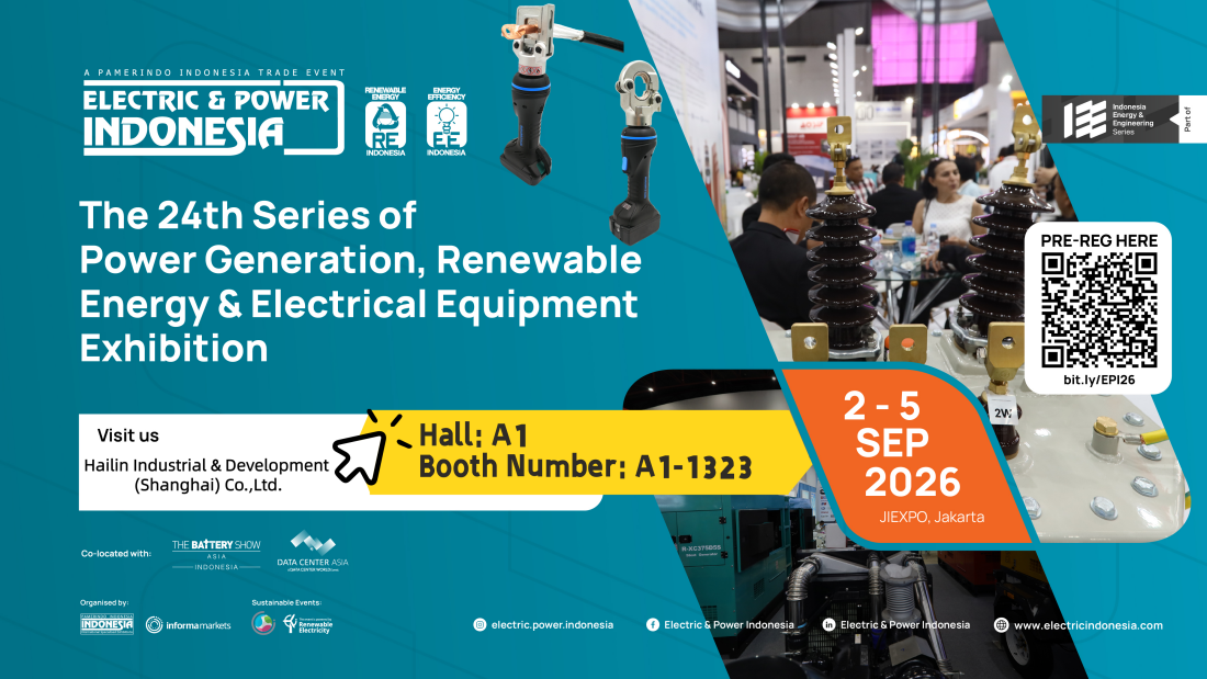 Electricidad y Energía de Indonesia