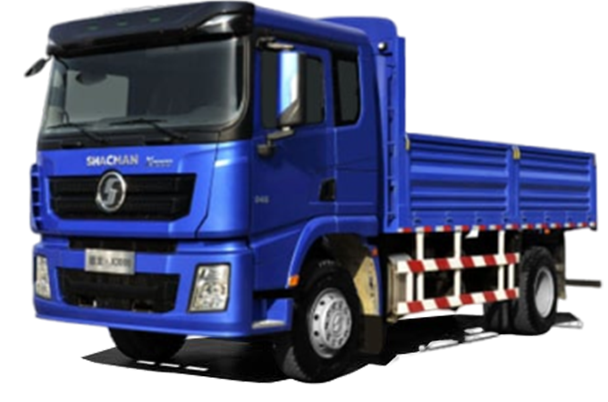 4X2 Cargo Truck X3000