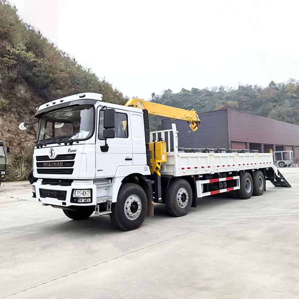 Guindaste montado em caminhão Shacman F3000