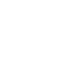 团队