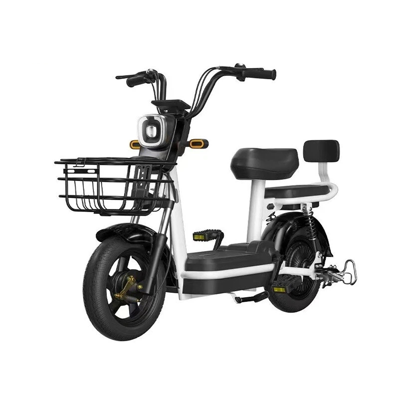 Electric Bicycle