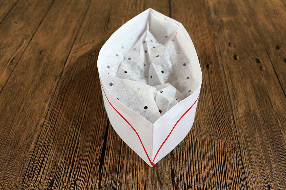 Paper forage hat (single red strip)