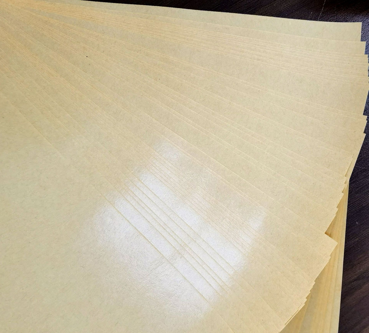 PE-coated greaseproof paper