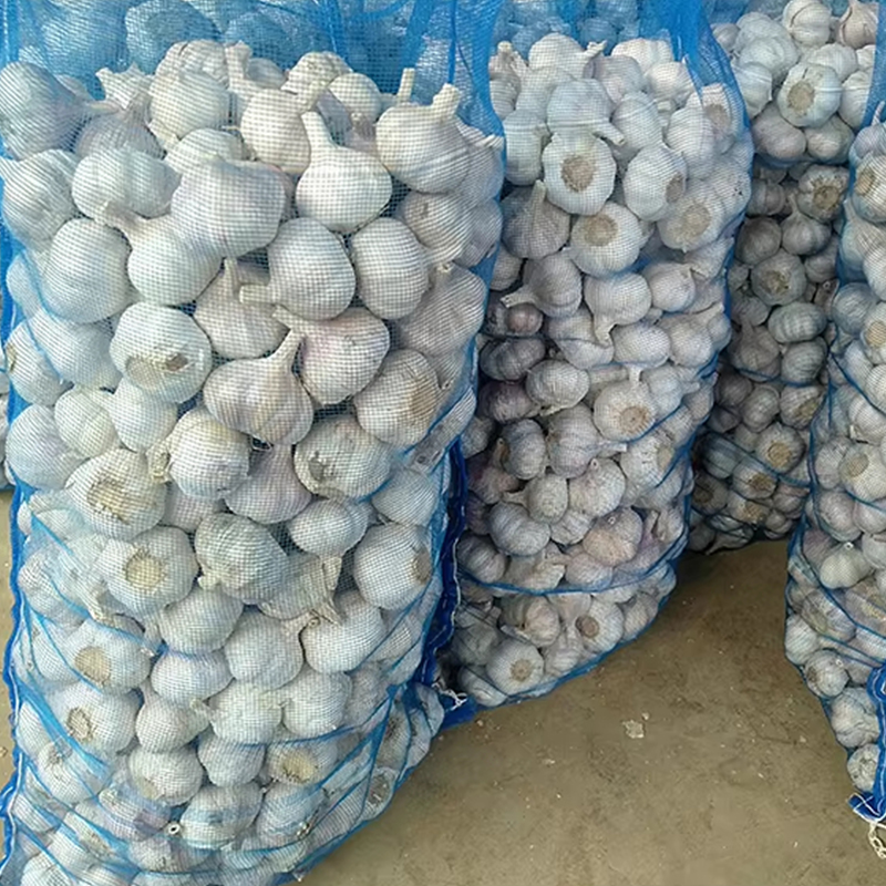 One Bulb Fresh Garlic