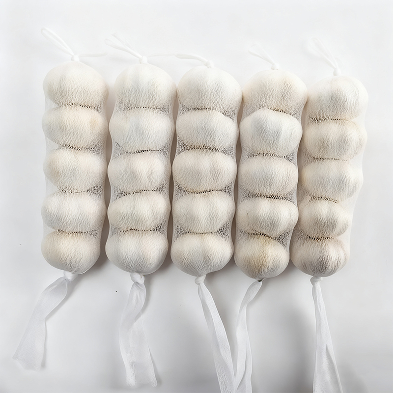 China Fresh Garlic Wholesaler