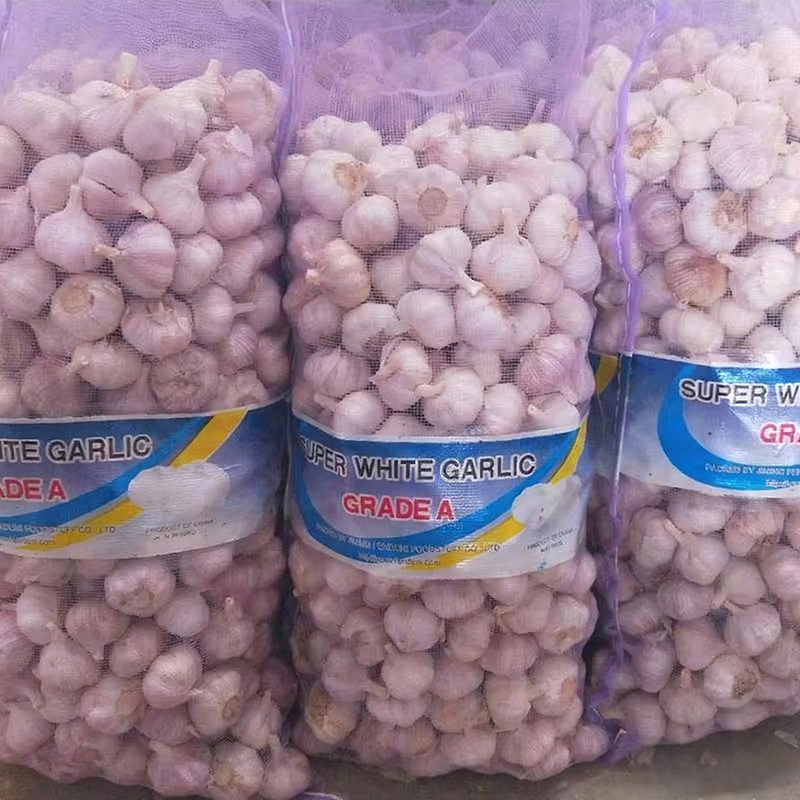 White Garlic Wholesale