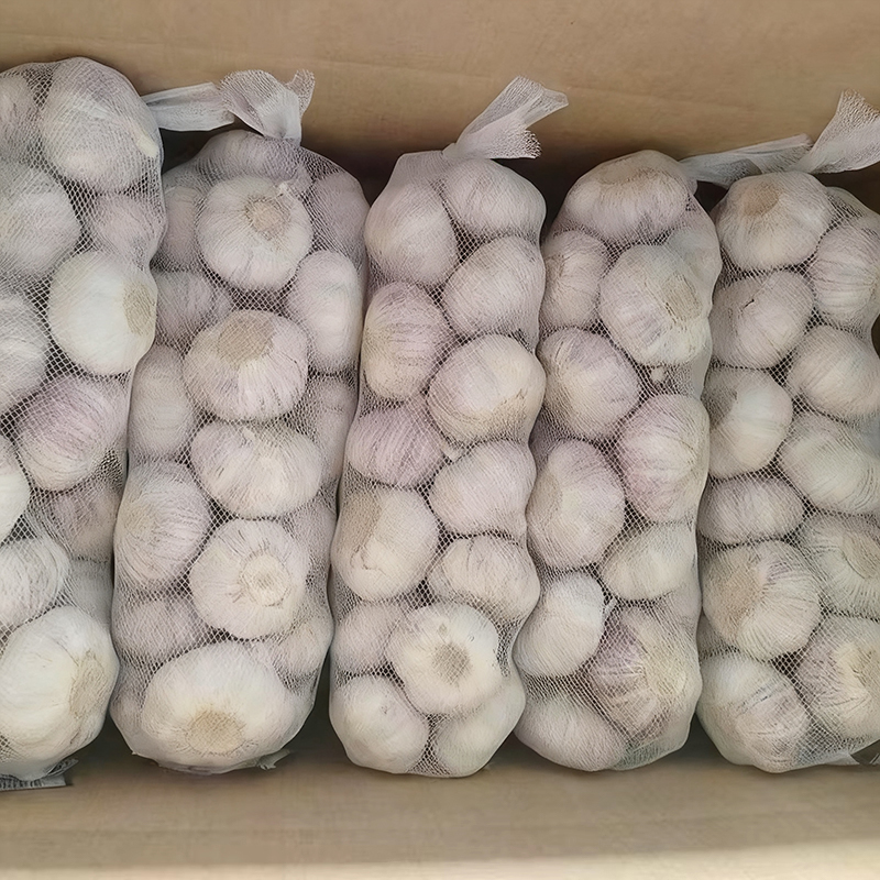 Normal White Garlic 10kg carton	