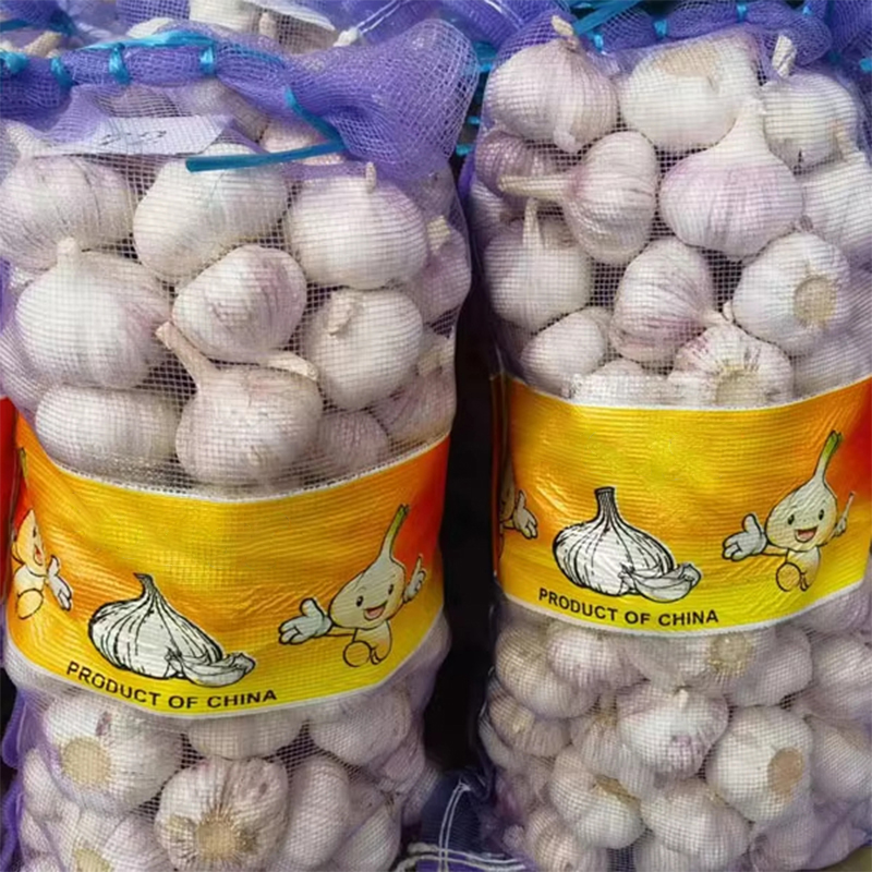 Organic Garlic for Sale