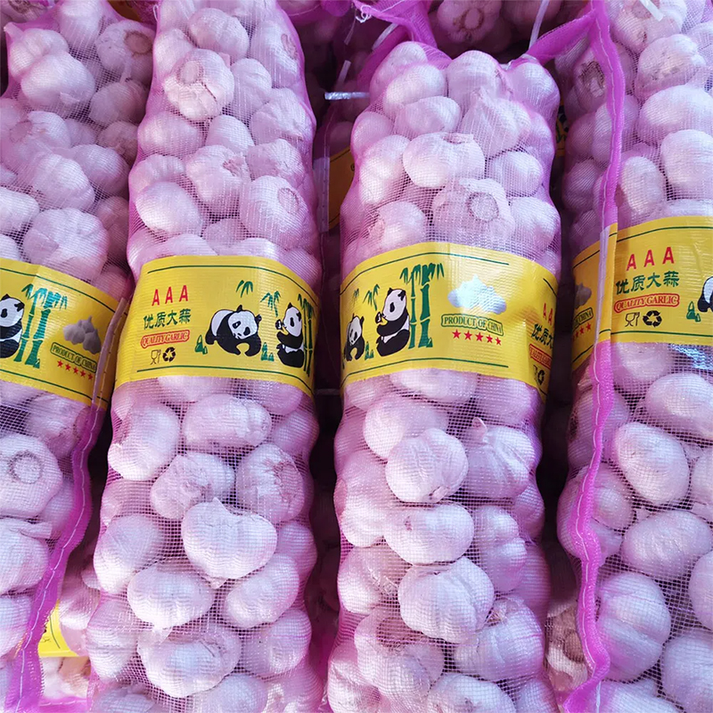 Fresh Purple Garlic Manufacturer