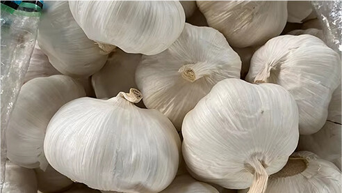 Best Ways to Store Fresh Garlic