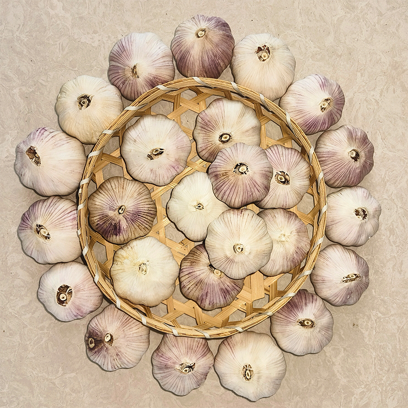 Garlic packed in mesh bags of various specifications