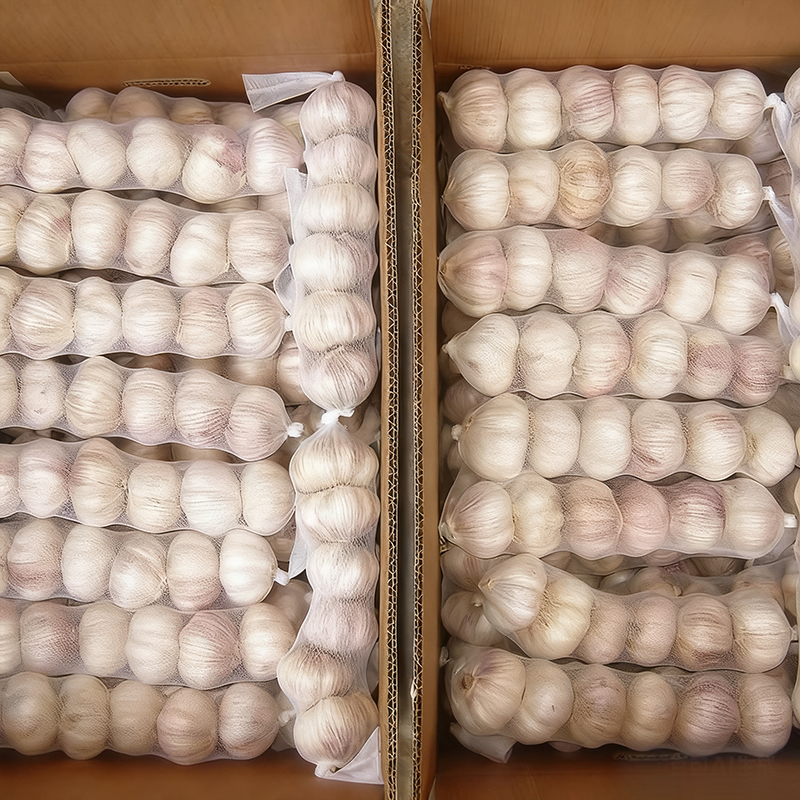 China Garlic Exporter