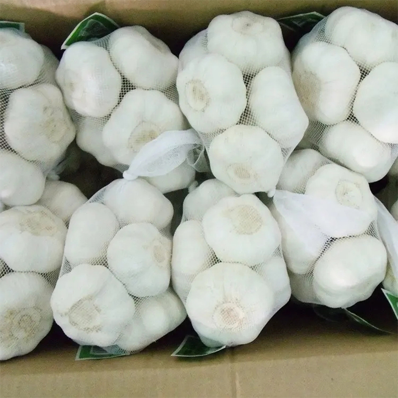 Normal White Garlic 10kg carton	