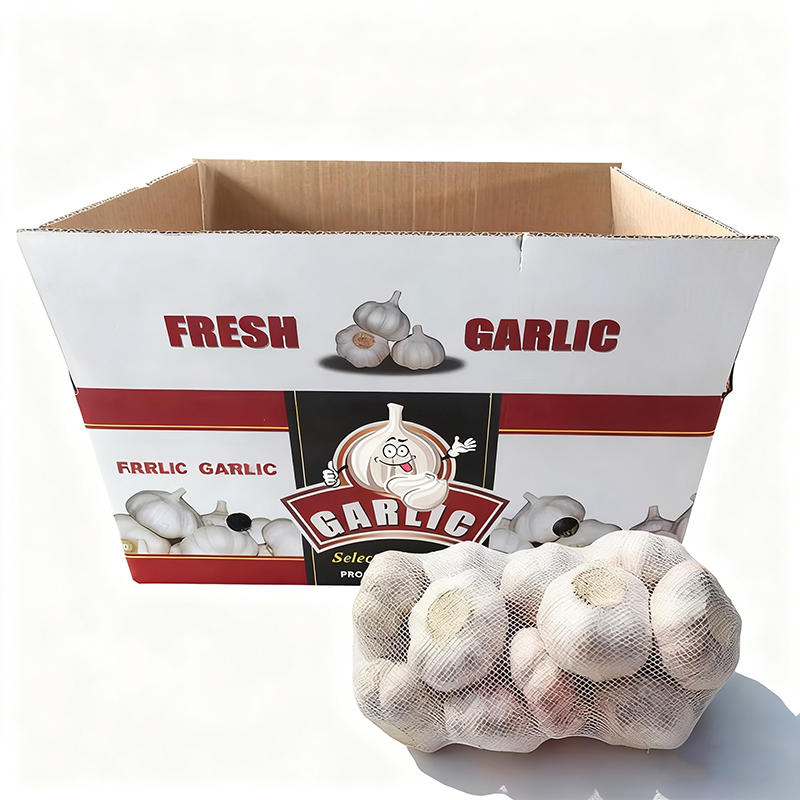 10kg Loose Carton Normal White Garlic Packing