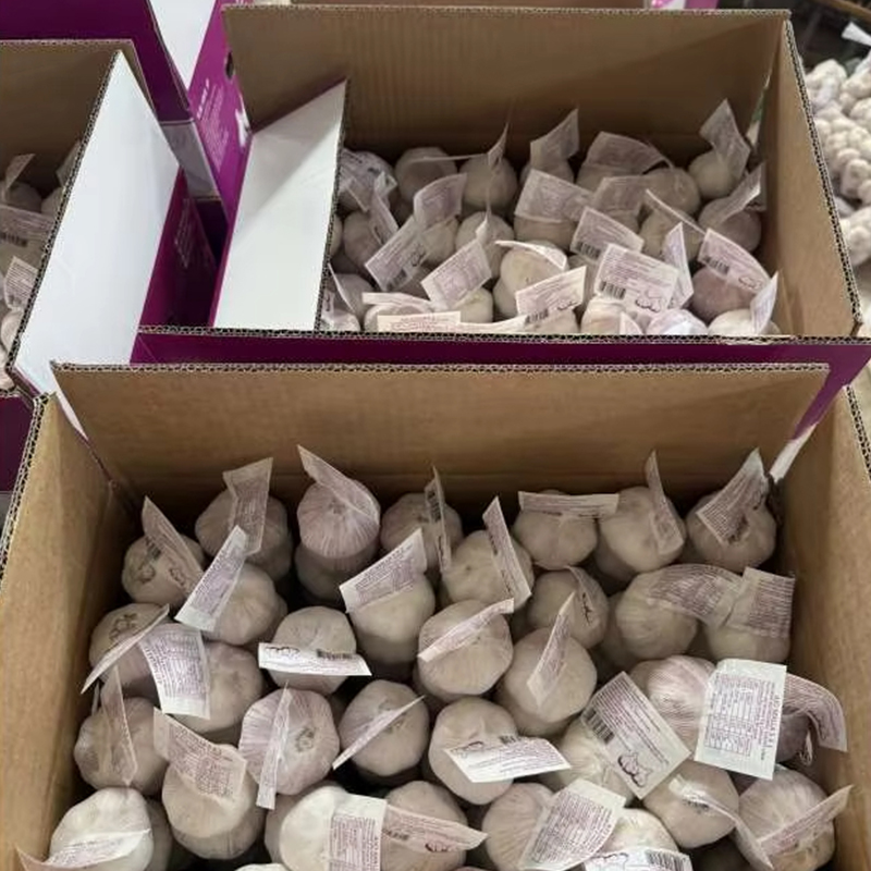 10kg Loose Carton Normal White Garlic Packing