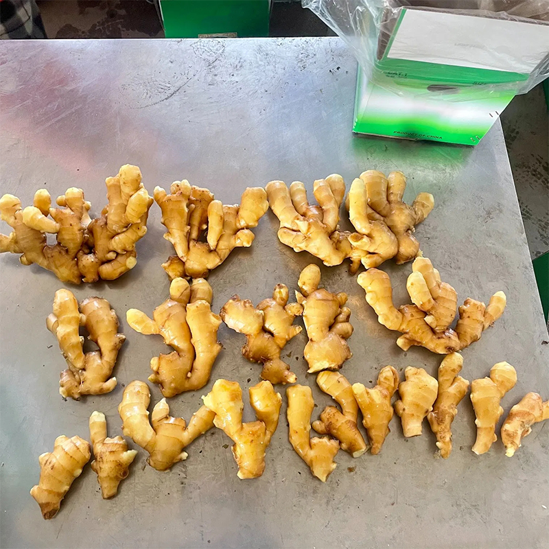 Ginger loose packing