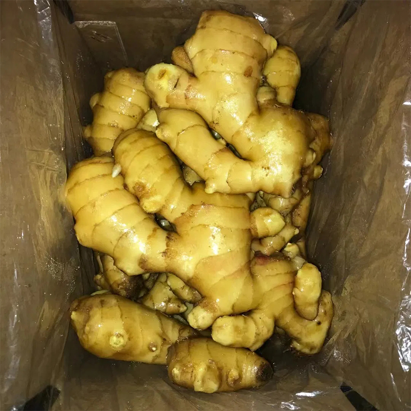 Fresh Ginger Carton Packing Inside Plastic Bag