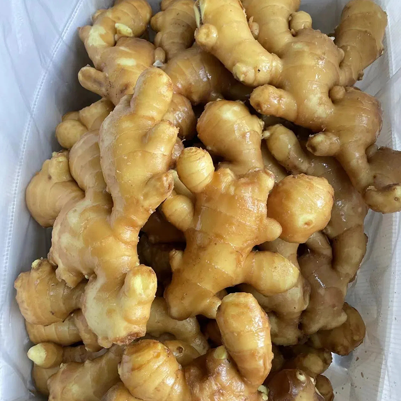 Supply Selected Super Quality Chinese Fresh or Air Dried Ginger