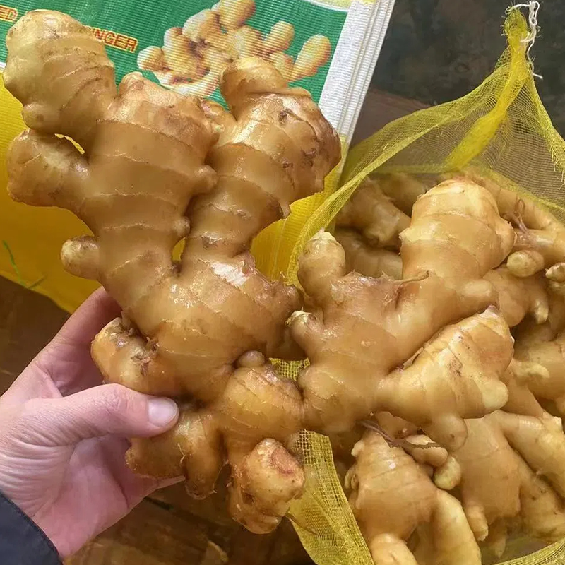 Fresh Ginger