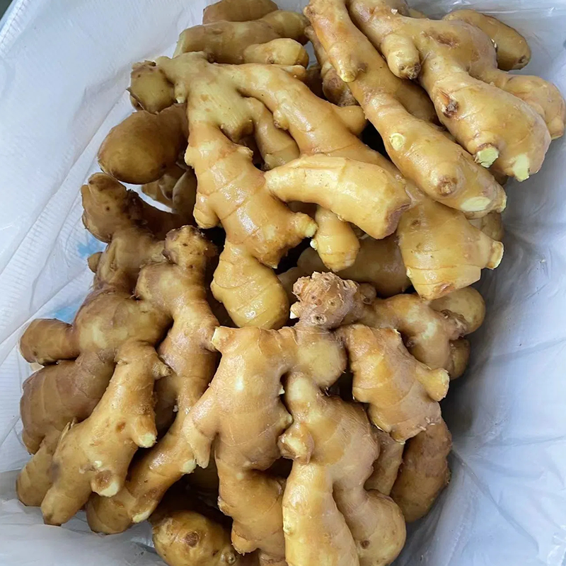 Chinese No Pesticide Fresh Organic Ginger