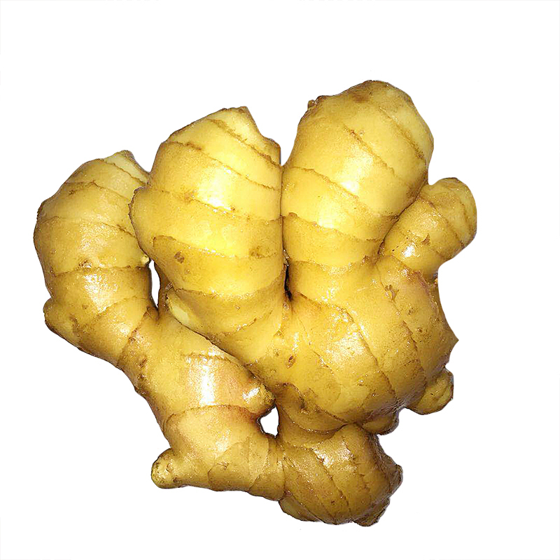 China Fresh New Crop Ginger Supplier  