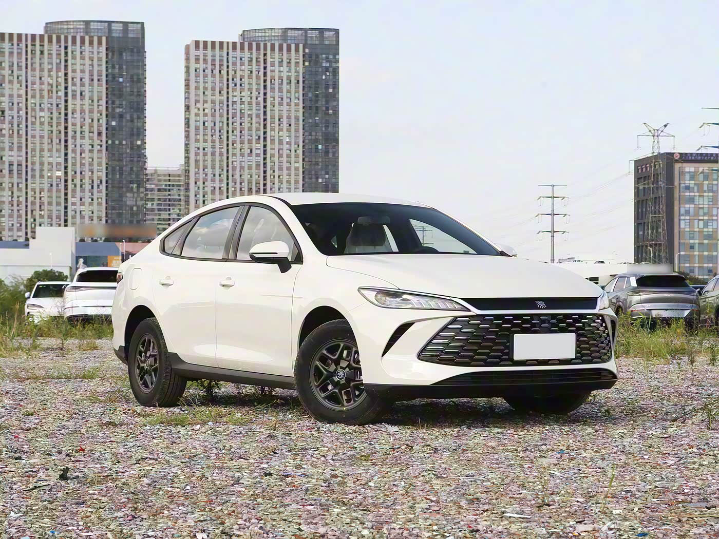 Qin PLUS