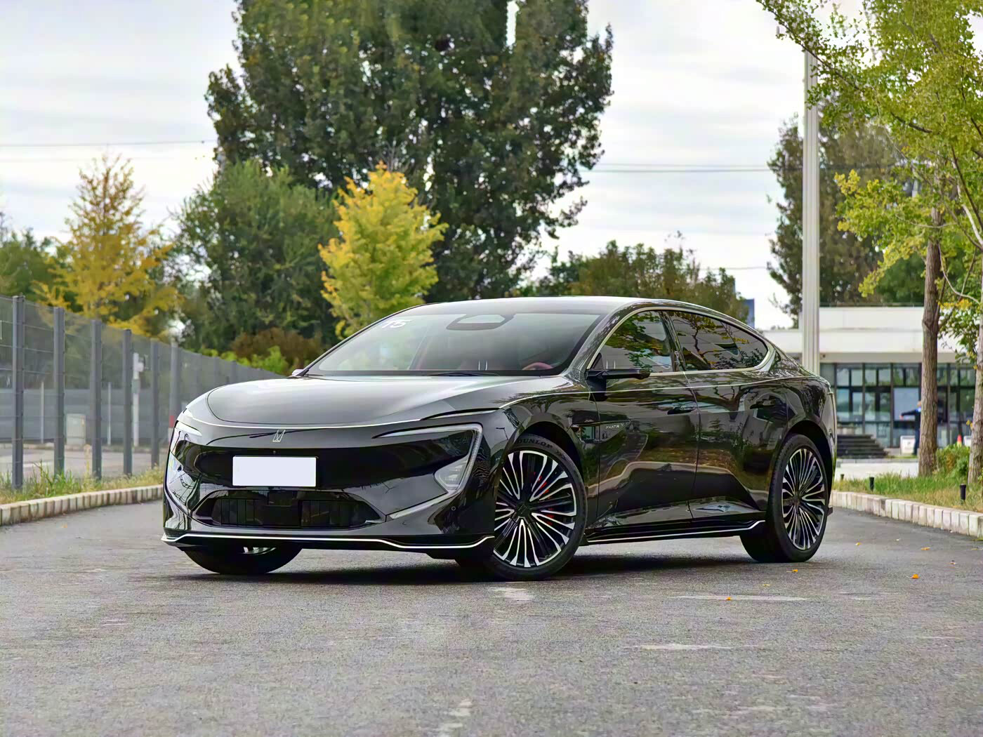 AVITA 12