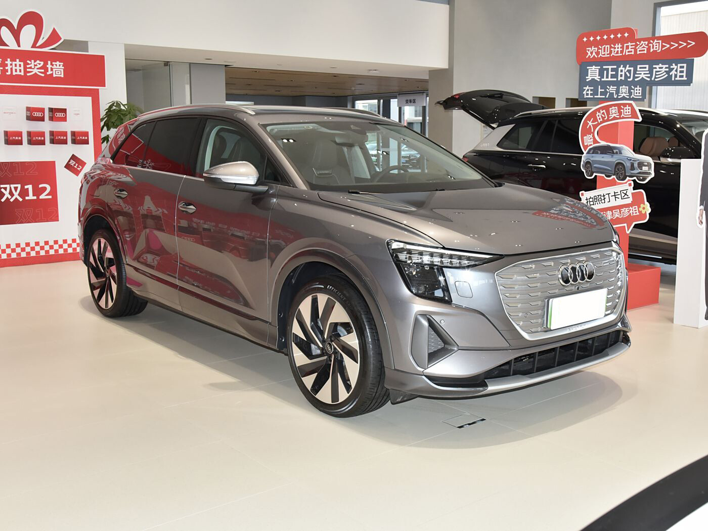 Q5 e-tron