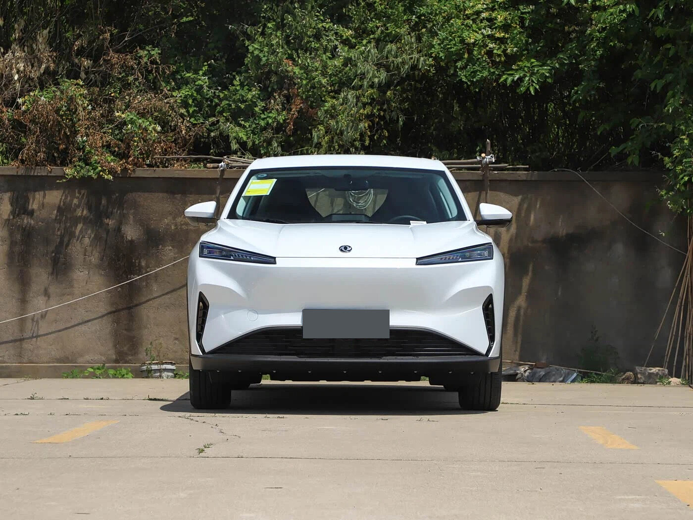 SKY EV01