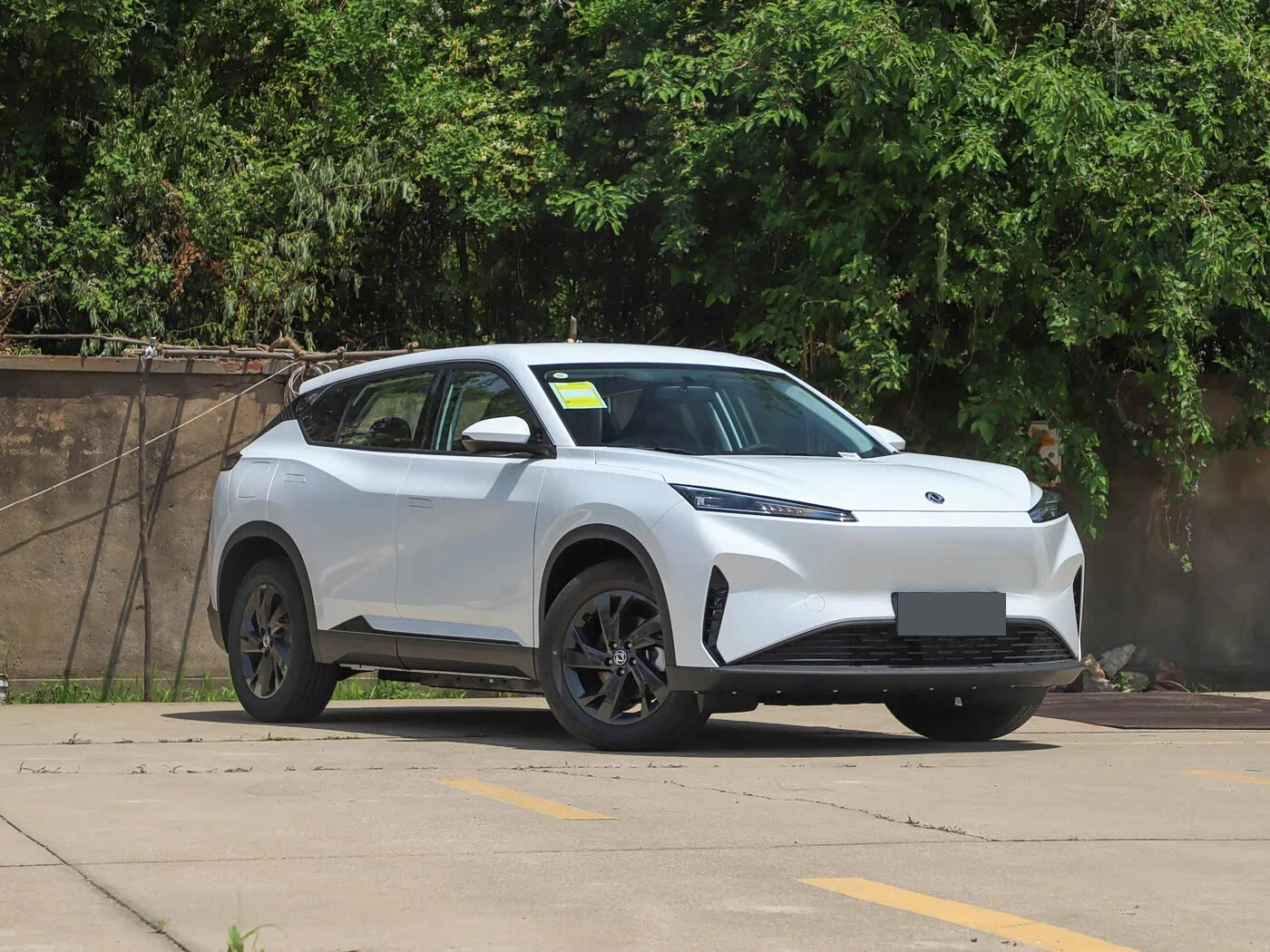 SKY EV01