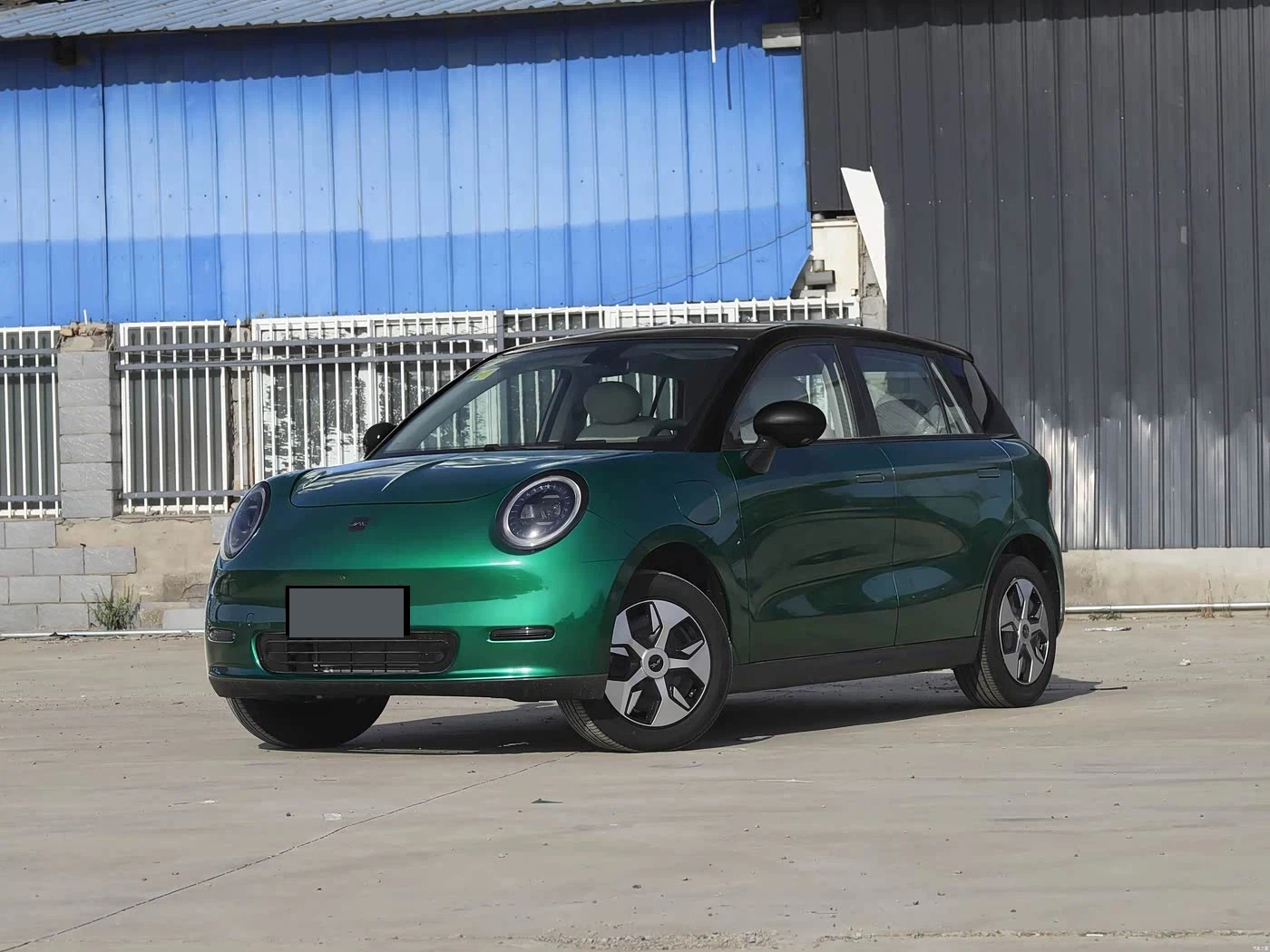 Electric Vehicle